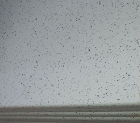 MARANGOZ NİYAZİ USTA