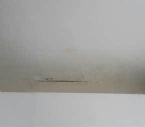 MARANGOZ NİYAZİ USTA