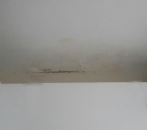 MARANGOZ NİYAZİ USTA