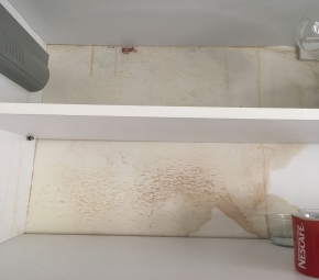 MARANGOZ NİYAZİ USTA